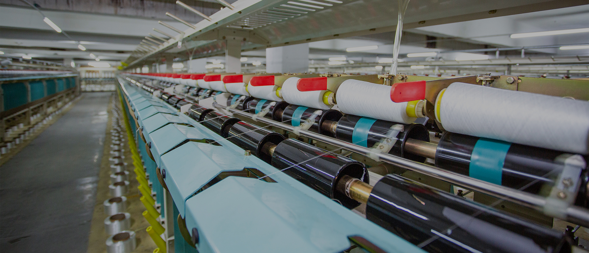 Shaoxing Qiufei Textile Technology Co., Ltd.